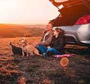 短信测试网站免费